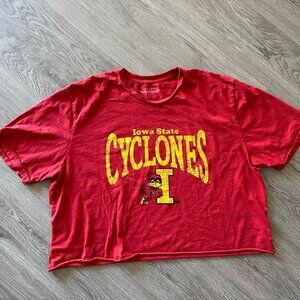 Iowa State Cyclones Vintage Joans Arc Short Sleeve Crop T-Shirt - Medium